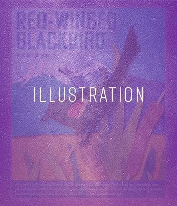 link to illustration portfolio for Westworks Studio © 2019 Susan Hill