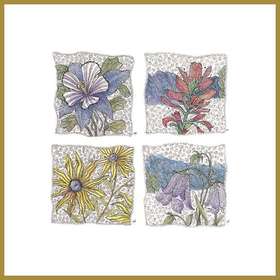 hand drawing of wildflowers in watercolor and ink ©2019 Susan Hill